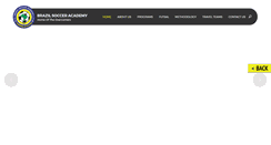Desktop Screenshot of brazilsocceracademy.com
